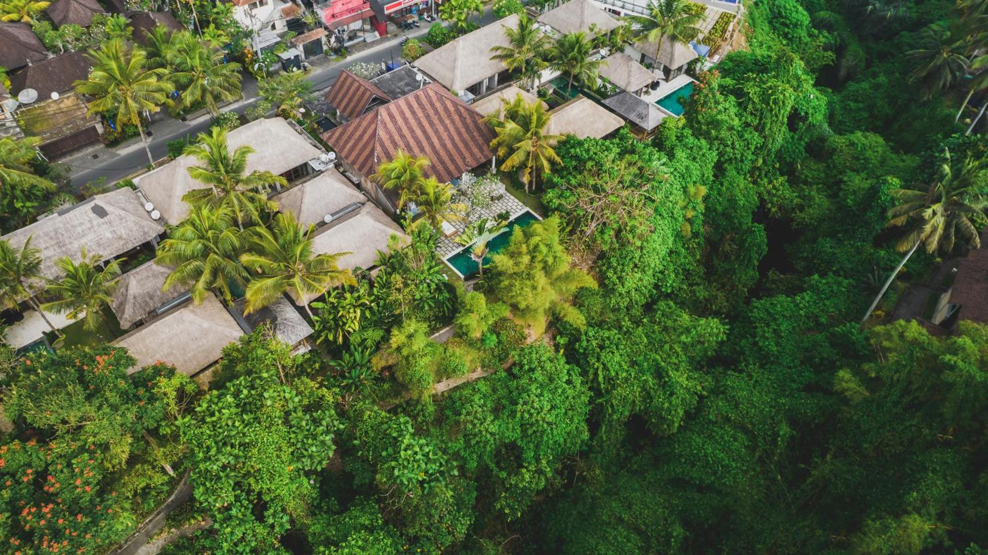 Villa Luwak Estate à Ubud Extérieur photo